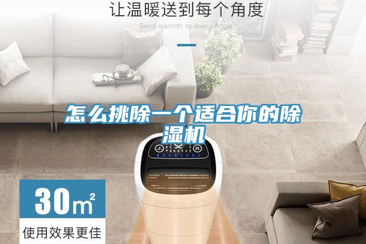 怎么挑除一个适合你的91免费网站在线观看