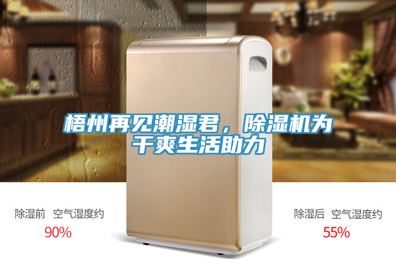 梧州再见潮湿君，91免费网站在线观看为干爽生活助力