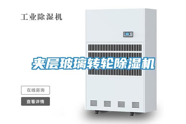 夹层玻璃转轮91免费网站在线观看