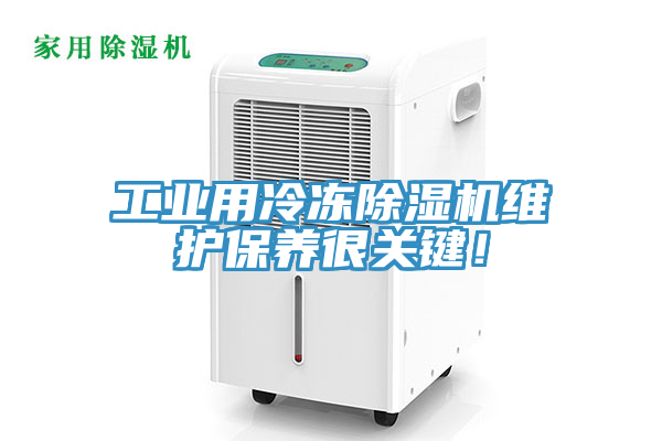 工业用冷冻91免费网站在线观看维护保养很关键！