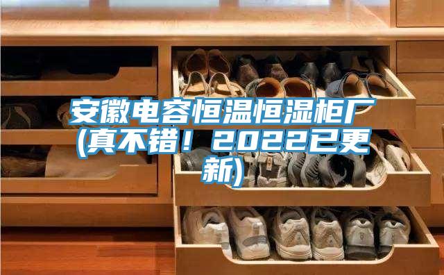 安徽电容恒温恒湿柜厂(真不错！2022已更新)