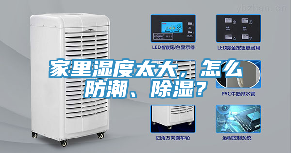 家里湿度太大，怎么防潮、除湿？