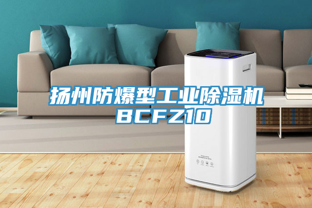 扬州防爆型工业91免费网站在线观看 BCFZ10
