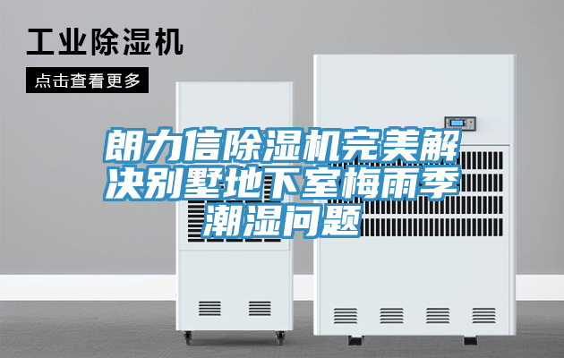 朗力信91免费网站在线观看完美解决别墅地下室梅雨季潮湿问题