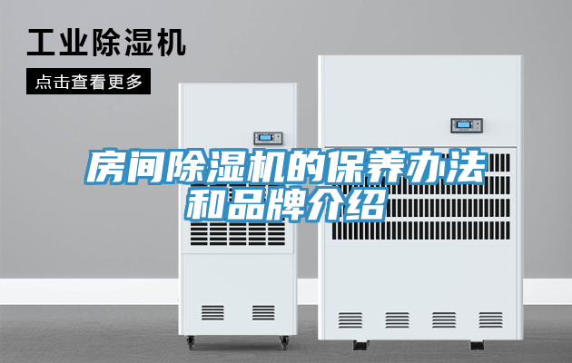 房间91免费网站在线观看的保养办法和品牌介绍