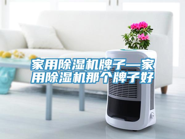 家用91免费网站在线观看牌子—家用91免费网站在线观看那个牌子好