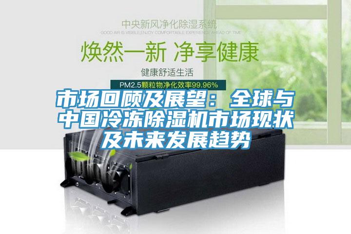 市场回顾及展望：全球与中国冷冻91免费网站在线观看市场现状及未来发展趋势