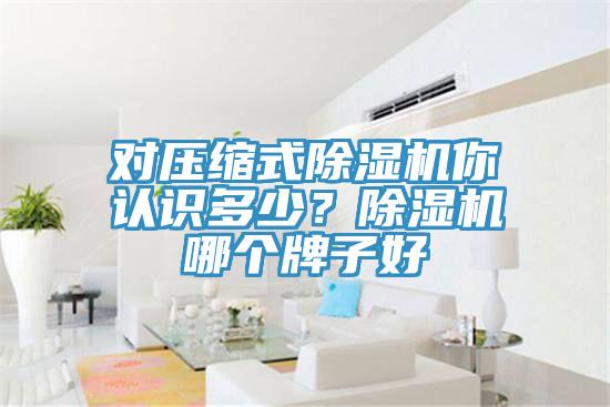 对压缩式91免费网站在线观看你认识多少？91免费网站在线观看哪个牌子好