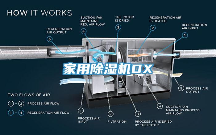 家用91免费网站在线观看DX