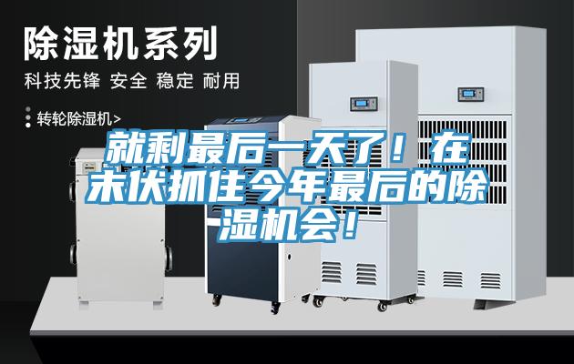 就剩最后一天了！在末伏抓住今年最后的91免费网站在线观看会！