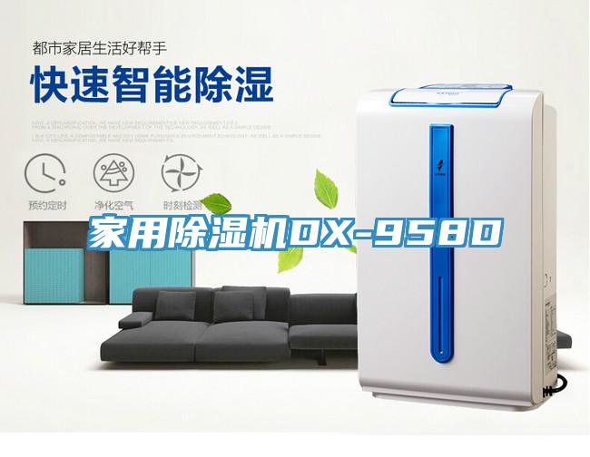 家用91免费网站在线观看DX-958D