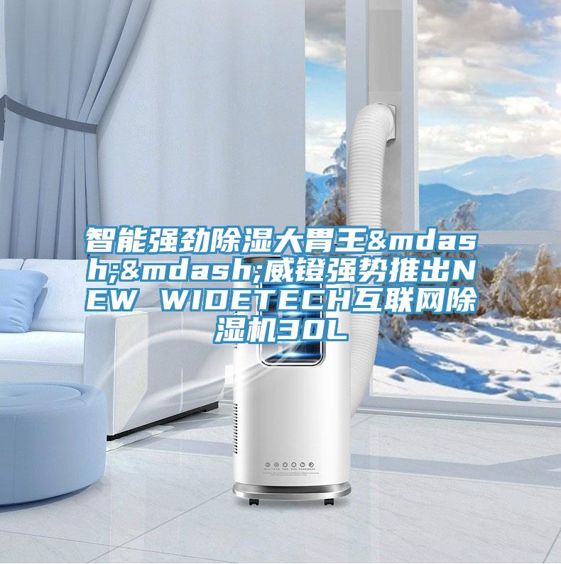 智能强劲除湿大胃王——威镫强势推出NEW WIDETECH互联网91免费网站在线观看30L