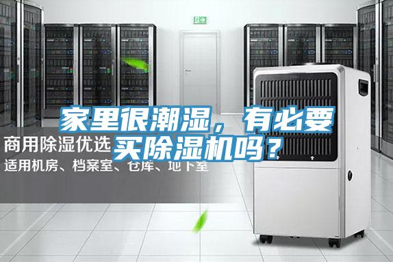 家里很潮湿，有必要买91免费网站在线观看吗？