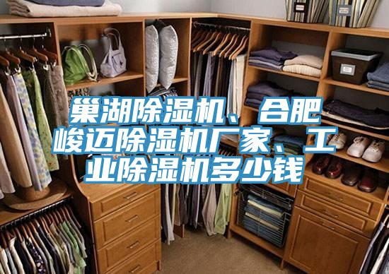 巢湖91免费网站在线观看、合肥峻迈91免费网站在线观看厂家、工业91免费网站在线观看多少钱