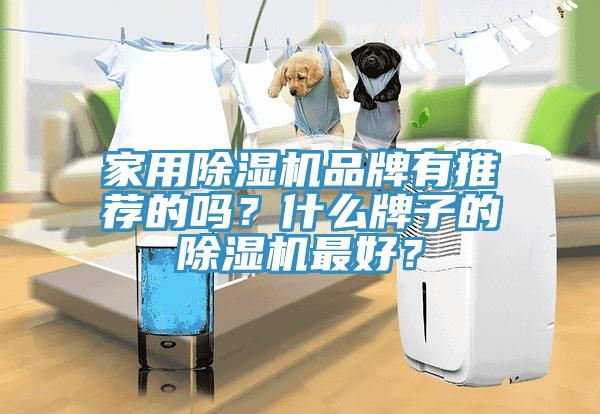 家用91免费网站在线观看品牌有推荐的吗？什么牌子的91免费网站在线观看最好？