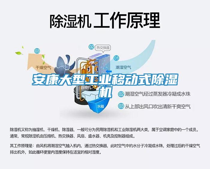 安康大型工业移动式91免费网站在线观看