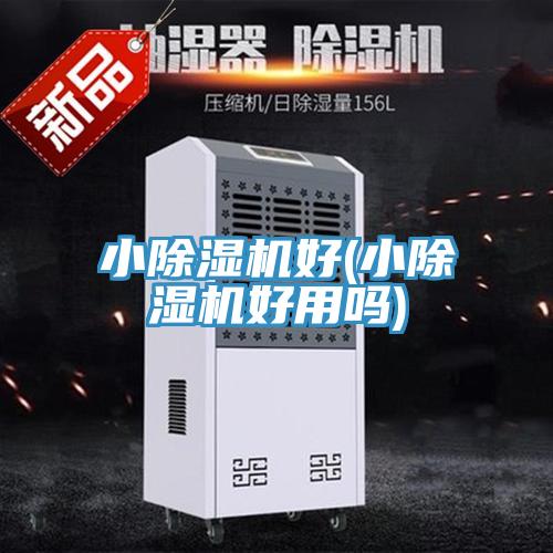 小91免费网站在线观看好(小91免费网站在线观看好用吗)