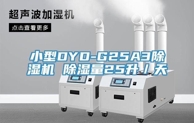 小型DYD-G25A391免费网站在线观看 除湿量25升／天