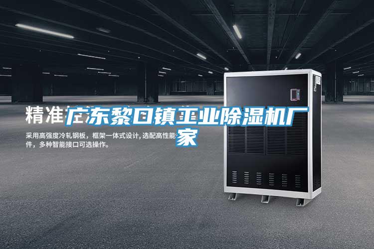 广东黎口镇工业91免费网站在线观看厂家