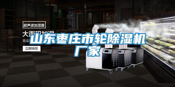 山东枣庄市轮91免费网站在线观看厂家