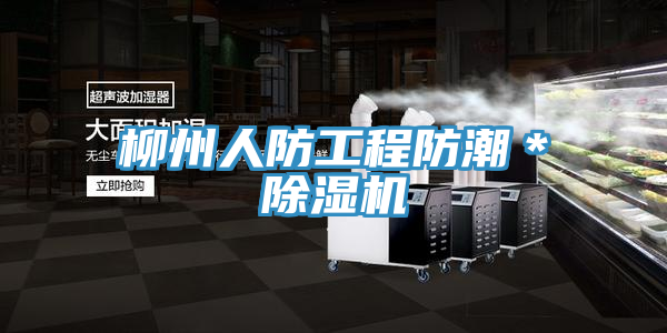 柳州人防工程防潮＊91免费网站在线观看