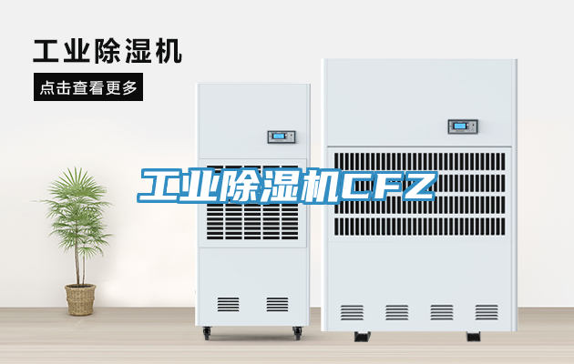 工业91免费网站在线观看CFZ