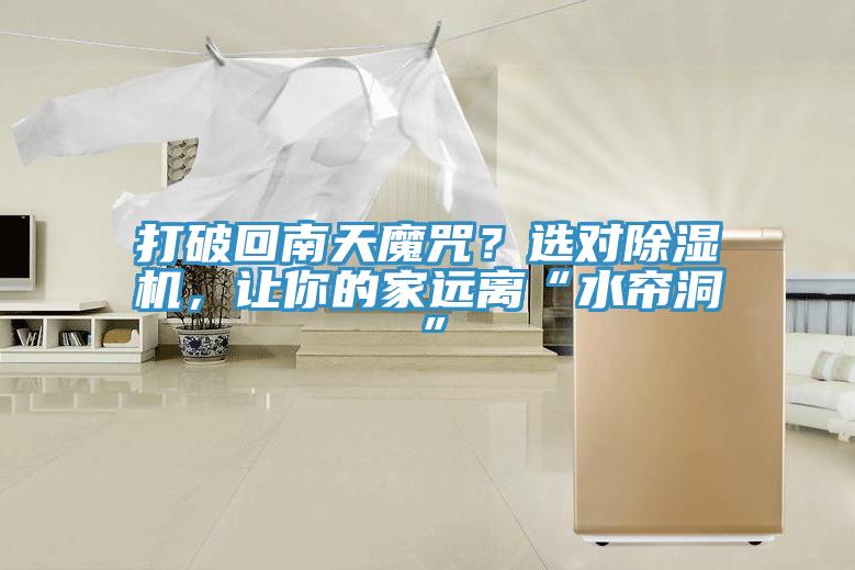 打破回南天魔咒？选对91免费网站在线观看，让你的家远离“水帘洞”