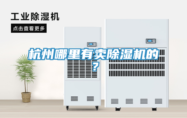 杭州哪里有卖91免费网站在线观看的？
