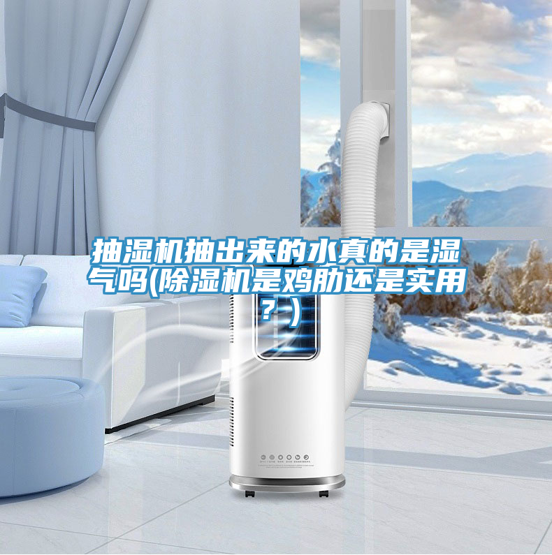 抽湿机抽出来的水真的是湿气吗(91免费网站在线观看是鸡肋还是实用？)