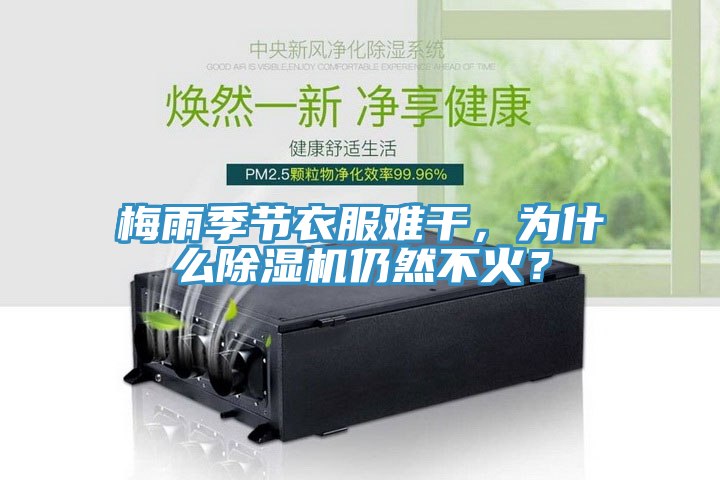 梅雨季节衣服难干，为什么91免费网站在线观看仍然不火？