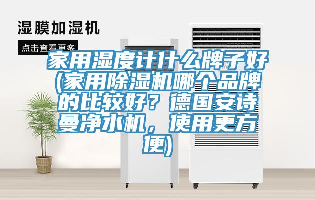 家用湿度计什么牌子好(家用91免费网站在线观看哪个品牌的比较好？德国91免费看黄片净水机，使用更方便)