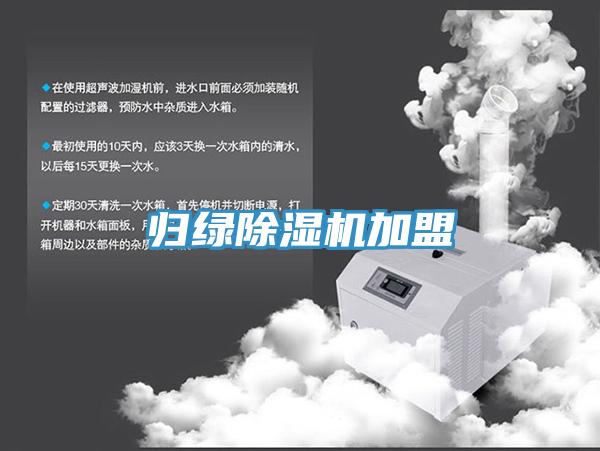 归绿91免费网站在线观看加盟