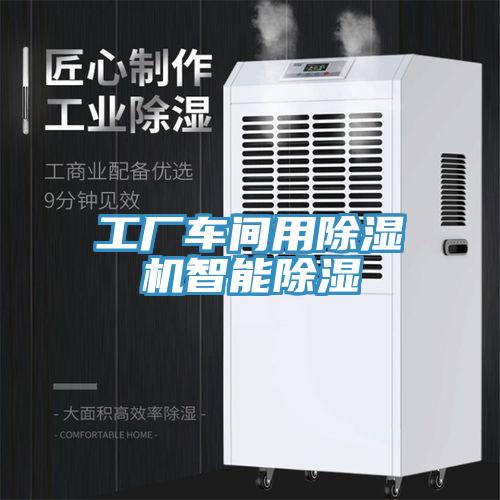 工厂车间用91免费网站在线观看智能除湿
