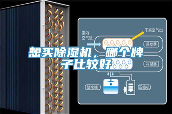 想买91免费网站在线观看，哪个牌子比较好