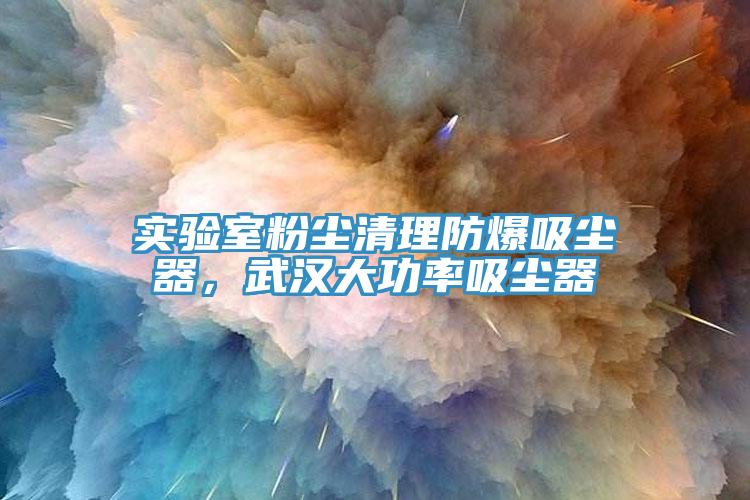实验室粉尘清理防爆吸尘器，武汉大功率吸尘器