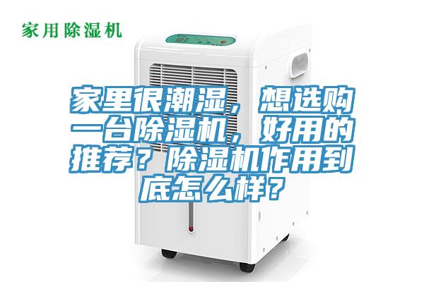 家里很潮湿，想选购一台91免费网站在线观看，好用的推荐？91免费网站在线观看作用到底怎么样？