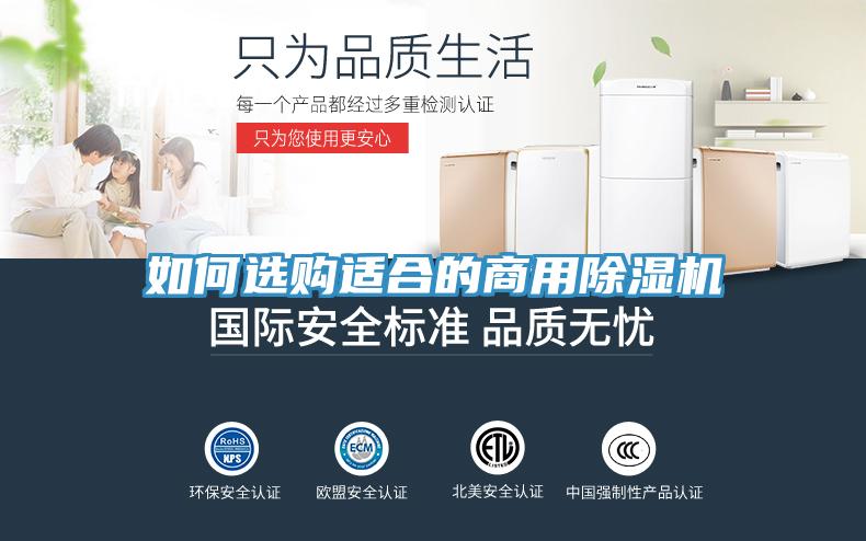 如何选购适合的商用91免费网站在线观看