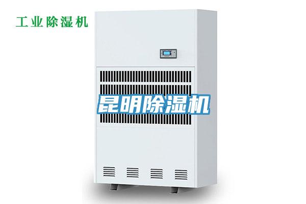 昆明91免费网站在线观看