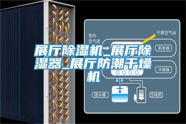 展厅91免费网站在线观看_展厅除湿器_展厅防潮干燥机
