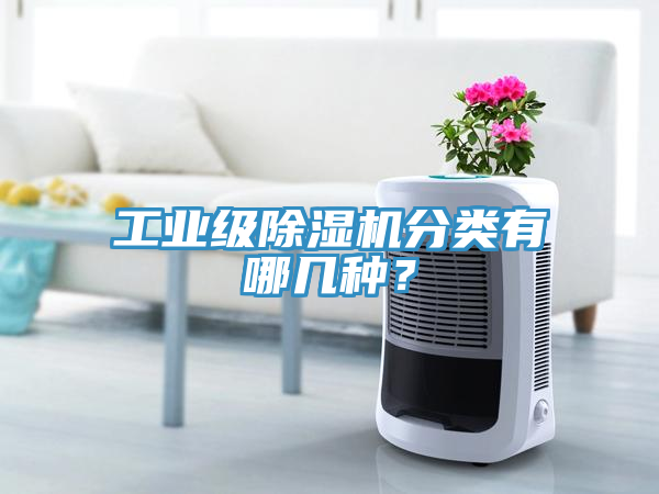 工业级91免费网站在线观看分类有哪几种？