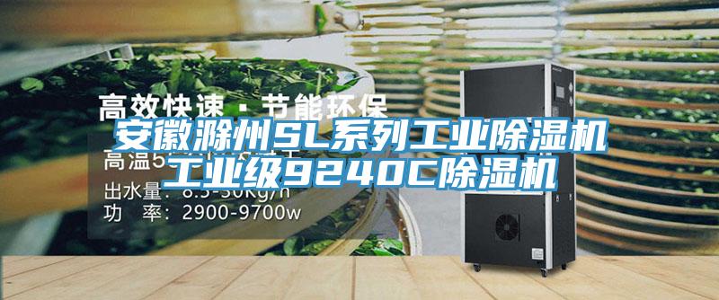 安徽滁州SL系列工业91免费网站在线观看工业级9240C91免费网站在线观看
