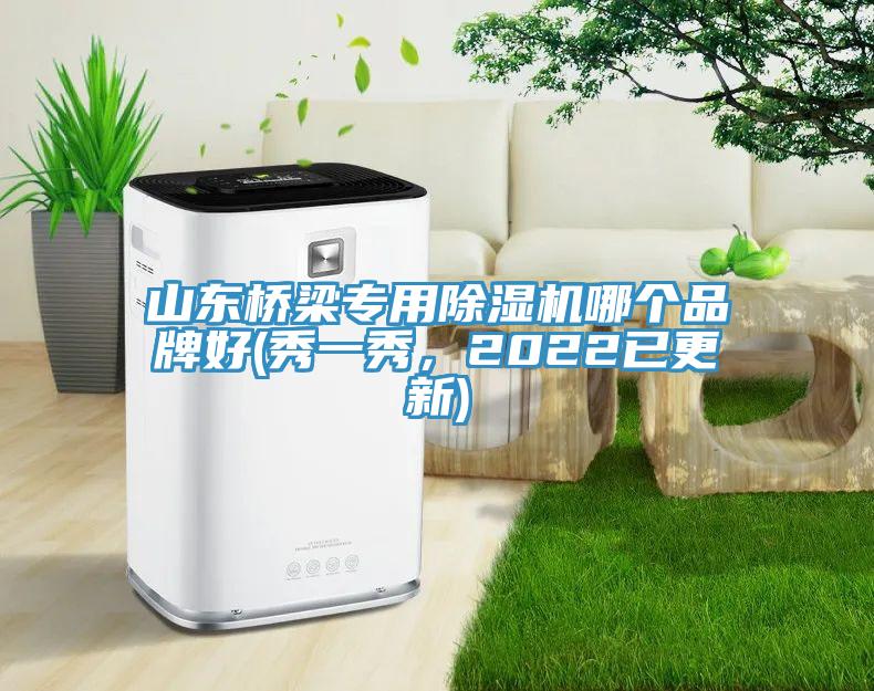 山东桥梁专用91免费网站在线观看哪个品牌好(秀一秀，2022已更新)