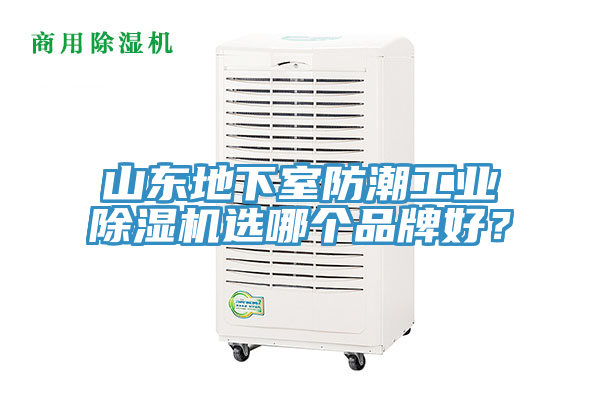 山东地下室防潮工业91免费网站在线观看选哪个品牌好？