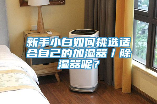 新手小白如何挑选适合自己的加湿器／除湿器呢？