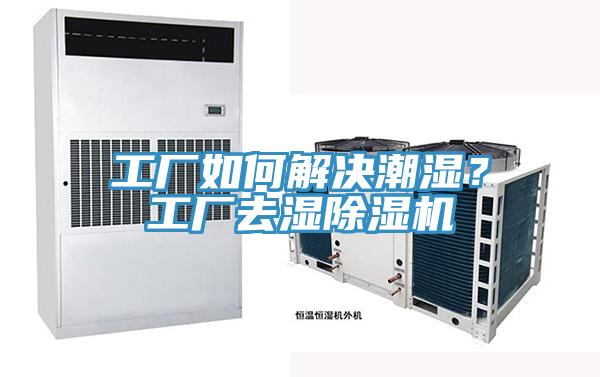 工厂如何解决潮湿？工厂去湿91免费网站在线观看