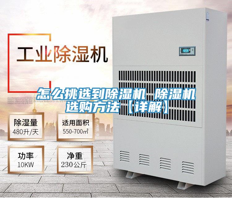 怎么挑选到91免费网站在线观看 91免费网站在线观看选购方法【详解】