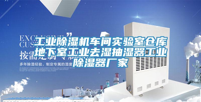 工业91免费网站在线观看车间实验室仓库地下室工业去湿抽湿器工业除湿器厂家