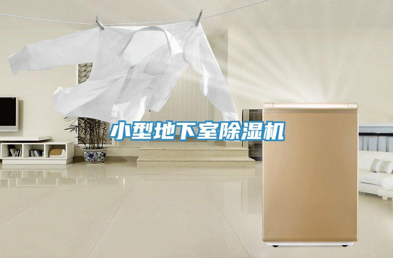 小型地下室91免费网站在线观看