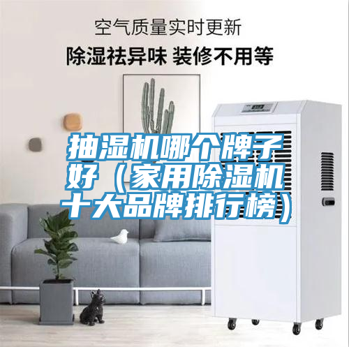 抽湿机哪个牌子好（家用91免费网站在线观看十大品牌排行榜）