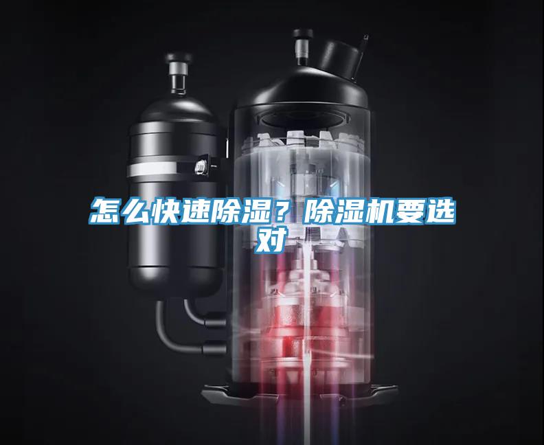 怎么快速除湿？91免费网站在线观看要选对